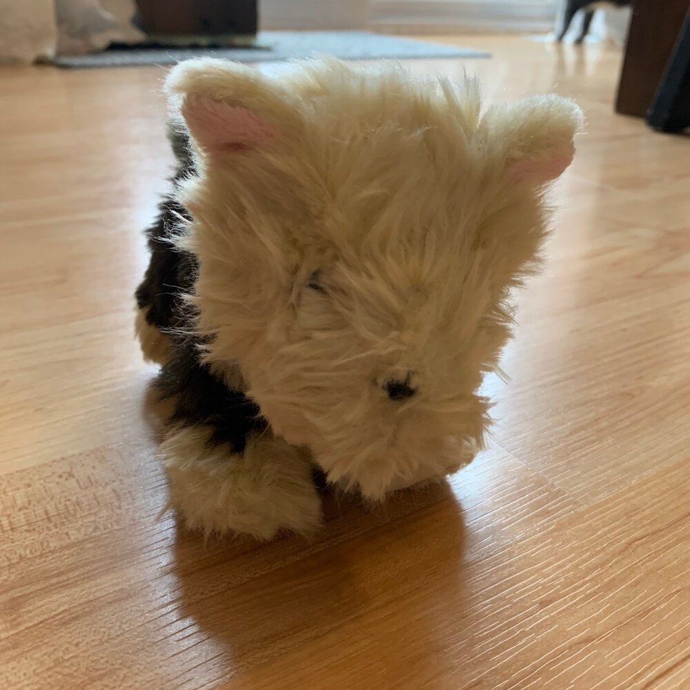American Girl Terrier- discontinued